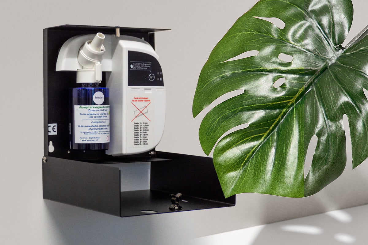 evolizer mini - BIO Kaltvernebler